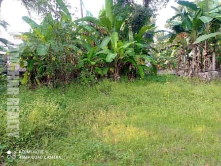 plot for sale in chengannur ps