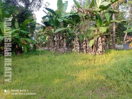 plot for sale in chengannur ps