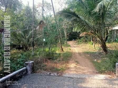 plot for sale in kangazha in changanassery