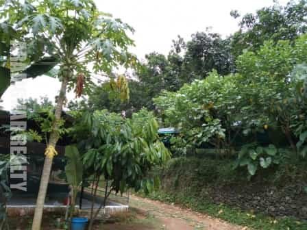 plot with poultry farm for sale in marangattupilly