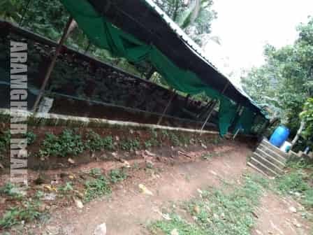 plot with poultry farm for sale in marangattupilly