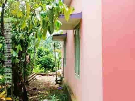 Property for Sale in Vadavathoor in Kottayam